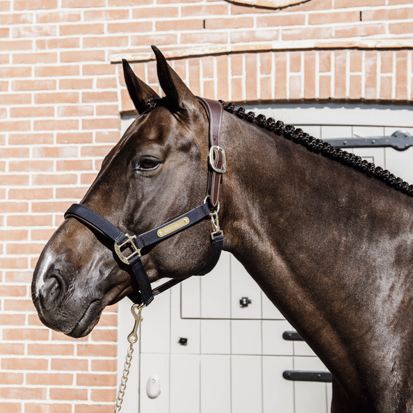 Kantar anatomiczny Kentucky Horsewear Anatomic Nylon