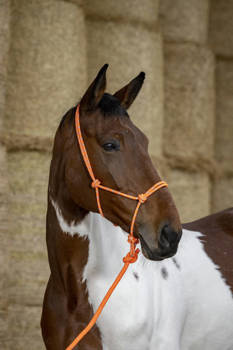 Kantar sznurkowy z liną Norton Fluo