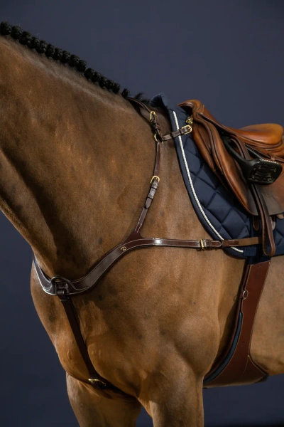 Napierśnik z mostkiem Dy'on D Collection DY06B