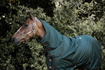 Derka padokowa Kentucky Horsewear All Weather Waterproof Pro 160g