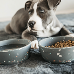Miska dla psa Kentucky Dogwear Bamboo Terrazzo