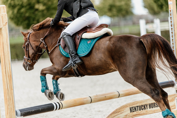 Ochraniacze przednie Kentucky Horsewear Bamboo Elastic