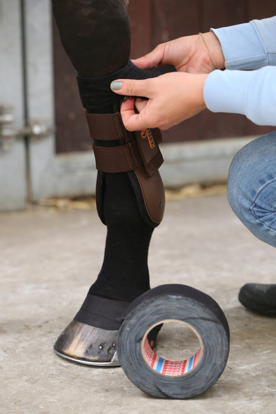 Skarpeta chroniąca przed obtarciami, zabrudzeniami i infekcjami Kentucky Horsewear Tendon Grip Sock