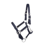 Kantar Kavalkade Shetty 