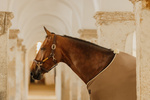 Kantar ze skóry syntetycznej Kentucky Horsewear Leather Halter Wellington
