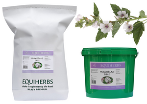 Prawoślaz ziele EQUIHERBS