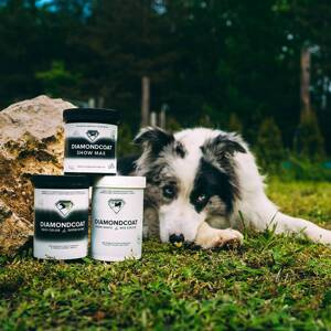 Suplement poprawiający kondycję okrywy włosowej dla psów Pokusa Diamond Coat Deep Color & Super Shine