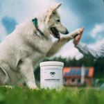 Suplement poprawiający kondycję okrywy włosowej dla psów Pokusa Diamond Coat Snow White & Mix Color