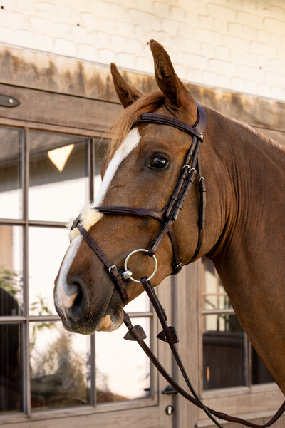 Ogłowie z nachrapnikiem meksykańskim Dy'on New EnglishCollection Plaited NEAOAV