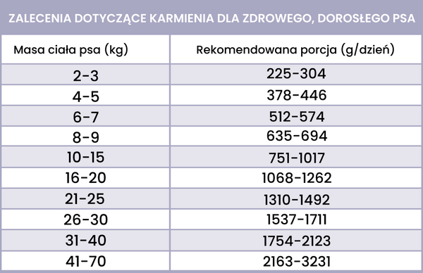Karma mokra dla dorosłych psów Perro - Morszczuk z batatem