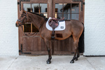 Czaprak  wszechstronny Kentucky Horsewear Fishbone Competition