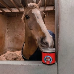 Maść przyspieszająca wzrost i regenerację kopyt Carr & Day & Martin Cornucrescine Original