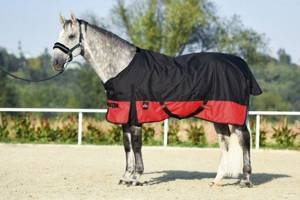 Derka padokowa START 2-tone 0g