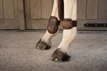Ochraniacze tylne Kentucky Horsewear Young Horse PRO