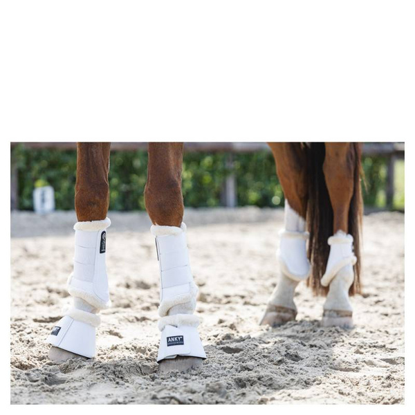 Ochraniacze ujeżdżeniowe ANKY® - tylne