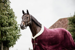 Derka polarowa Kentucky Horsewear Fleece Show Rug Heavy
