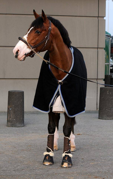 Ochraniacze treningowe z futrem na przednie nogi Kentucky Horsewear Turnout Boots Solimbra