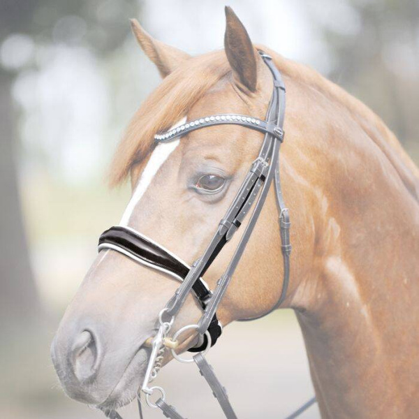 Nachrapnik szwedzki Kavalkade Antonina