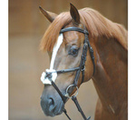 Ogłowie z nachrapnikiem meksykańskim Kavalkade Diandro