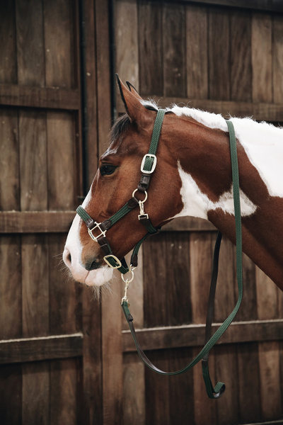 Uwiąz Kentucky Horsewear Plaited Nylon
