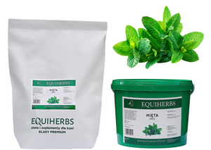 Mięta EQUIHERBS