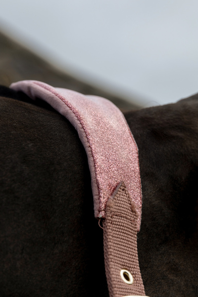 Kantar dla konia Kentucky Horsewear Velvet Unicorn Glitter