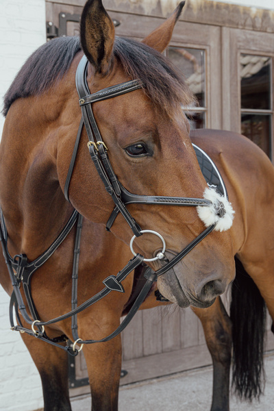 Napierśnik z mostkiem Dy'on D Collection Plaited DY06H