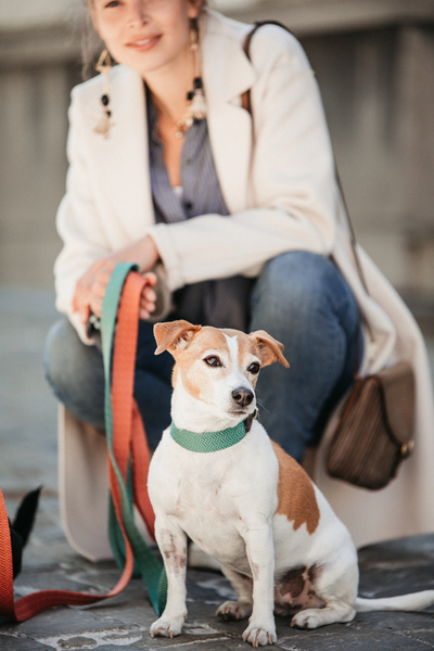 Obroża dla psa Kentucky Dogwear Jacquard