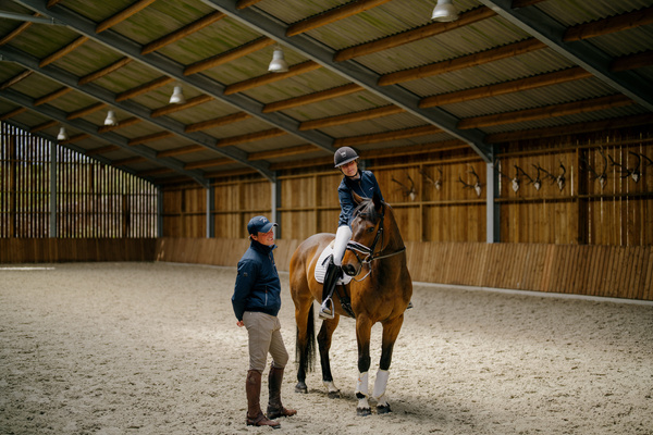 Ogłowie z nachrapnikiem szwedzkim Dy'on New English Collection NEDCAO