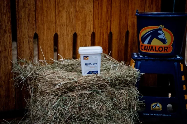 Suplement wspomagający odporność Cavalor Resist + Vit C