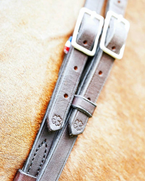 Ogłowie anatomiczne z opadającym naczółkiem IHWT Evolution Infinity