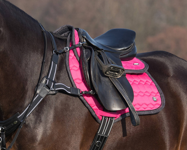 Czaprak wszechstronny QHP Eldorado