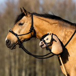 Kantar sznurkowy z wodzami dla konia Hobby Horse QHP