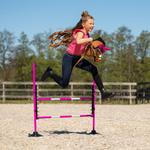 Przeszkoda dla Hobby Horse QHP