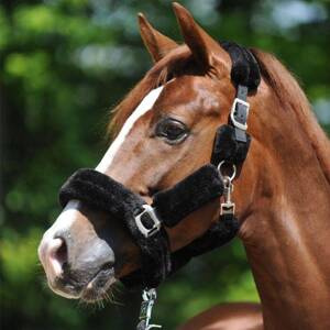 Kantar z futrem Kavalkade Traveling