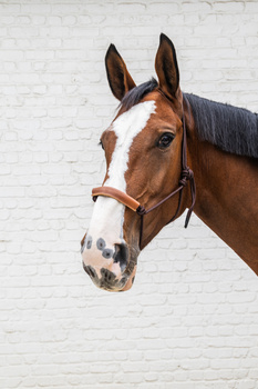 Kantar sznurkowy Grooming Deluxe