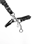 Czanki Hackamore Fager Hunter 