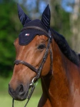 Nauszniki TOMMY HILFIGER EQUESTRIAN Lexington