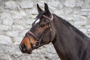 Ogłowie anatomiczne Dy'on D Collection DYABAB