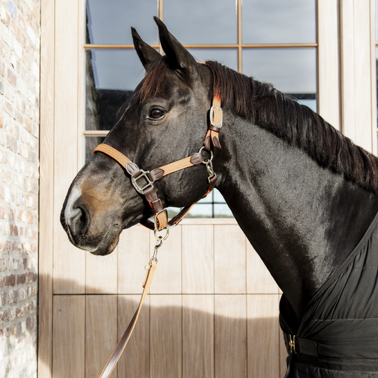 Kantar dla konia Kentucky Horsewear Plaited Nylon