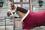 Derka stajenna Kentucky Horsewear Show Rug Velvet 160g