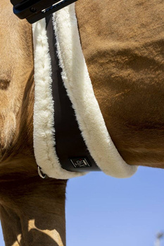 Popręg anatomiczny z futrem Norton XTR