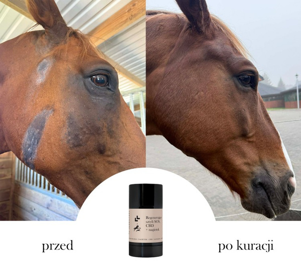 Regenerujący sztyft dla zwierząt LULLALOVE SOS CBD + nagietek