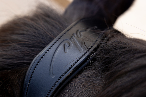 Ogłowie z nachrapnikiem meksykańskim Dy'on New EnglishCollection Plaited NEAOAV