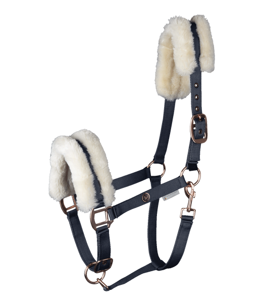 Kantar Waldhausen Modern Rose