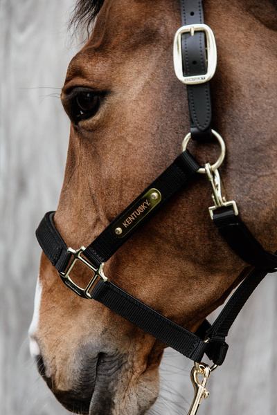 Kantar anatomiczny Kentucky Horsewear Anatomic Nylon