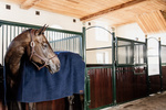 Derka polarowa Kentucky Horsewear Heavy Fleece Rug Square