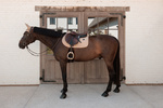 Czaprak wszechstronny Kentucky Horsewear Velvet Mini Pearls