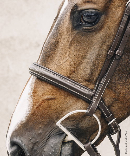 Ogłowie z nachrapnikiem angielskim Schockemöhle Sports Montreal