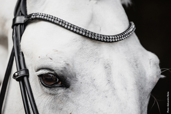 Ogłowie z nachrapnikiem szwedzkim Schockemöhle Sportse Isabell Werth Satchmo
